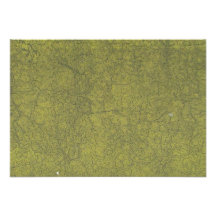 Olive Colored Painted Street Cracked Concrete Personalized Announcement