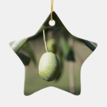 Olive tree in Italy Ornament