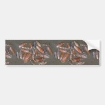 Olives Shell Bumper Stickers