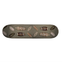 Olives Shell Skate Board
