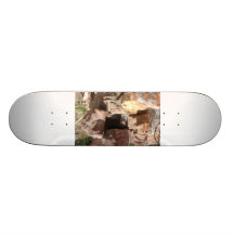 On the prowl custom skate board