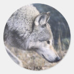 On the Prowl Stickers