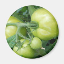 On the Vine Refrigerator Magnet
