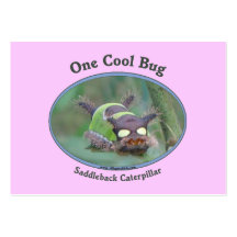 One Cool Caterpillar Bug Business Card
