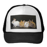 One Month Old Bunnies Trucker Hats