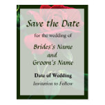 One Red Rosebud Save the Date Post Card