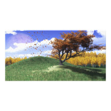 One Tree Hill Photo Card