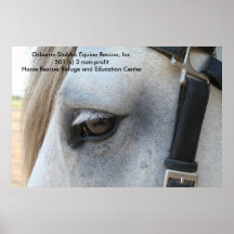 Opal as I see Myself, Osborne Stables Equine Re... Poster