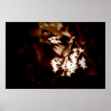 Opal Wonder Poster