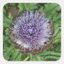 Open Artichoke Flower. Purple. Stickers