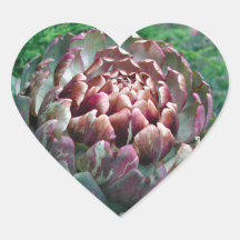 Open Artichoke Plant. Heart Stickers