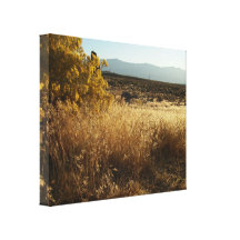Open Field Gallery Wrapped Canvas