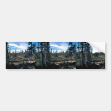 Open, Low Growing Spruce Forest Bumper Sticker
