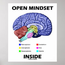 Open Mindset Inside (Anatomical Brain) Print