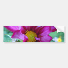 Opening Cosmo I Bumper Sticker