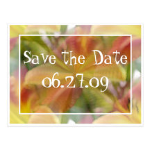 Optimism Save the Date Post Card