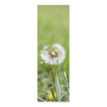 Optimism Skinny Business Card