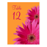 Orange and Pink Gerbera Daisy Table Number Card Post Card