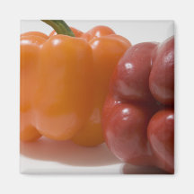 Orange and Red Bell Peppers Refrigerator Magnet