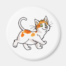 Orange and White Kitty Fridge Magnets