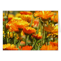 Orange and Yellow Garden Card