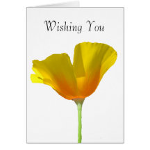 Orange and Yellow Poppy Card