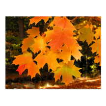 Orange Autumn Postcards