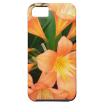 Orange Bush Lily Flower or Natal Lily iPhone 5 Cases