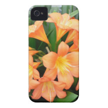 Orange Bush Lily Flower or Natal Lily Case-Mate iPhone 4 Case