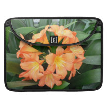 Orange Bush Lily Flower or Natal Lily MacBook Pro Sleeves