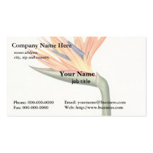 orange colour flowers,Pierre Joseph Redouté Business Card Template