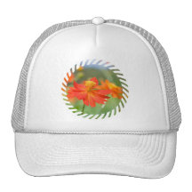Orange Cosmos Baseball Hat