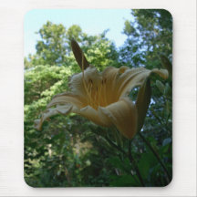 Orange Cream Day Lilly Mousepad