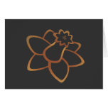 Orange Daffodil Cards
