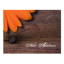 Orange Daisy and Barn Wood New Address Postcard