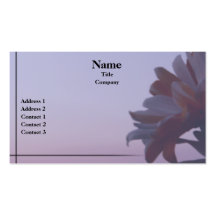 Orange Daisy Business Card