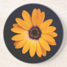 Orange Daisy Drink Coasters