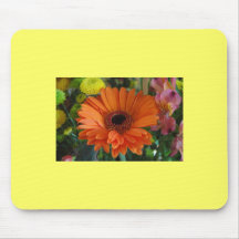Orange Daisy Mousepads