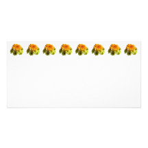 Orange Daisy With Yellow Mums Photo Card Template