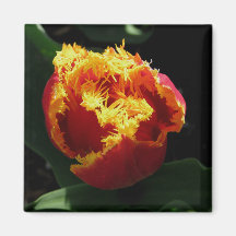 Orange Fire Magnet