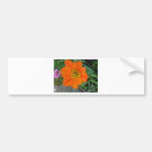 Orange Flower Bumper Sticker