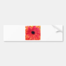orange flower bumper stickers