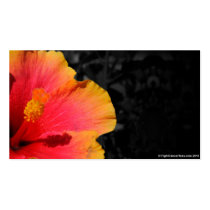 Orange Flower business cards