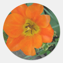Orange Flower Sticker