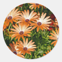Orange flowers sticker