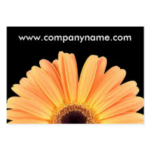 Orange Gerbera Business Card Template