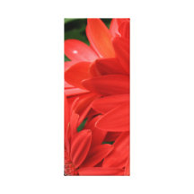 orange gerbera daisy 1of 3 stretched canvas prints