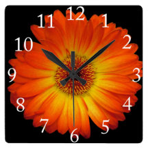 Orange gerbera daisy flower wallclocks