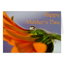 Orange Gerbera Daisy Mother's Day Card