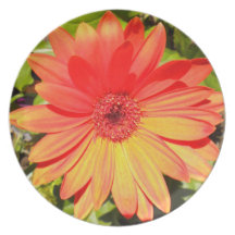 Orange Gerbera Daisy Plate